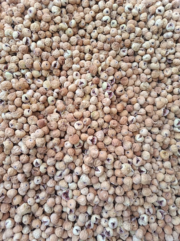 تصویر 3 از انجیر خشک گلستان تازه برداشت‌ شده از باغات محلی